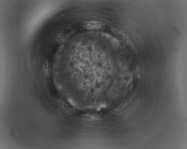 X0000116560763200912241614