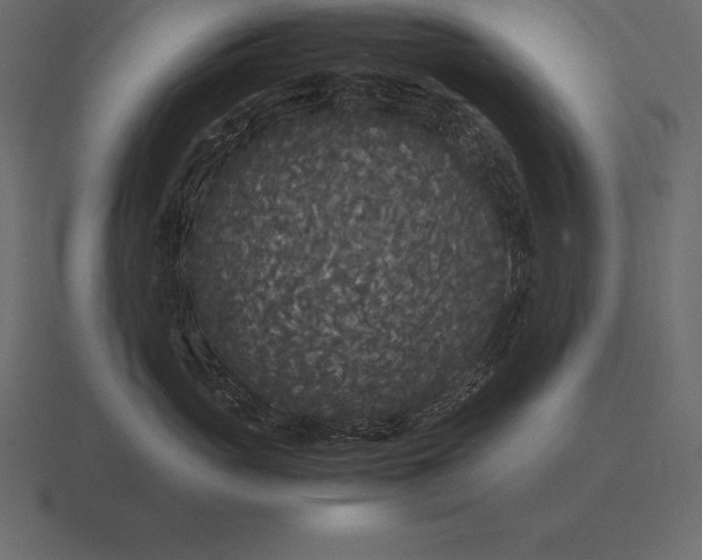 X0000116560765200912241614