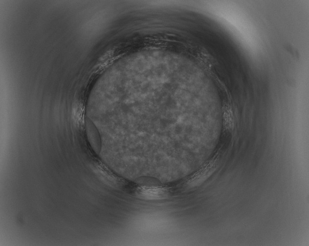 X0000116560766200912241615