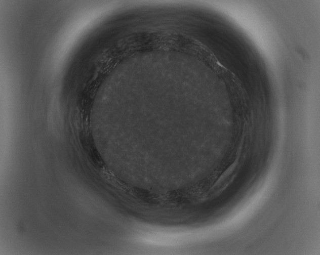 X0000116560767200912241615