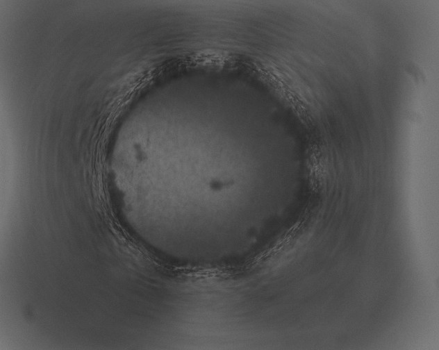 X0000116560769200912241614