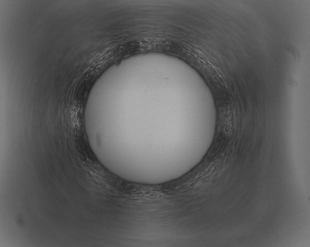 X0000116560770200912241614