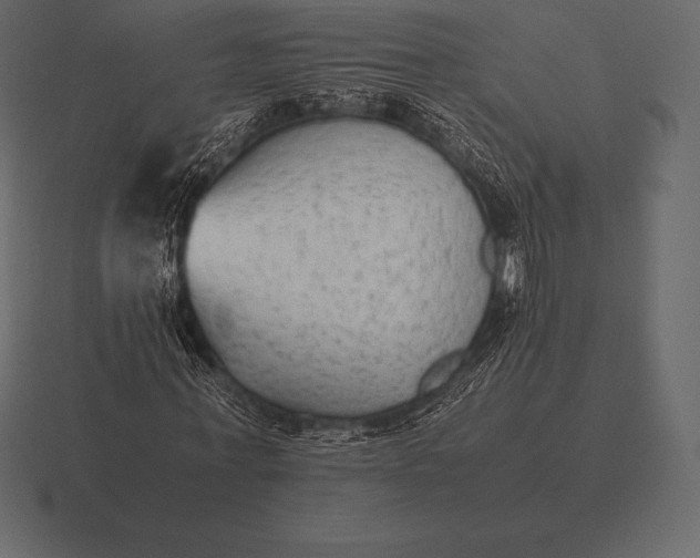 X0000116560771200912241614