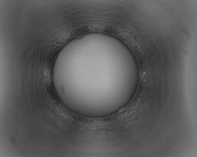 X0000116560772200912241614