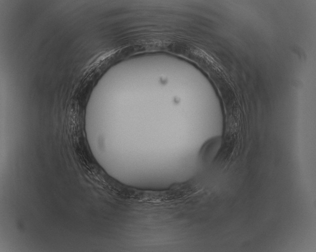 X0000116560773200912241614