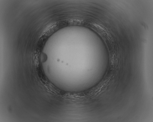 X0000116560774200912241614