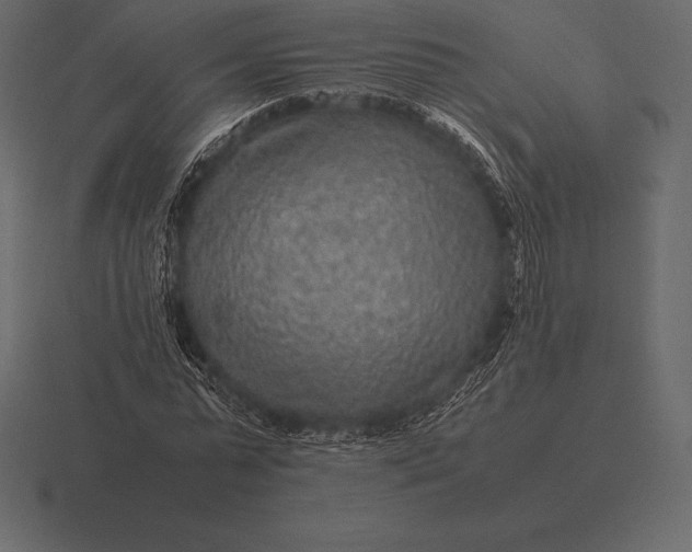 X0000116560775200912241614