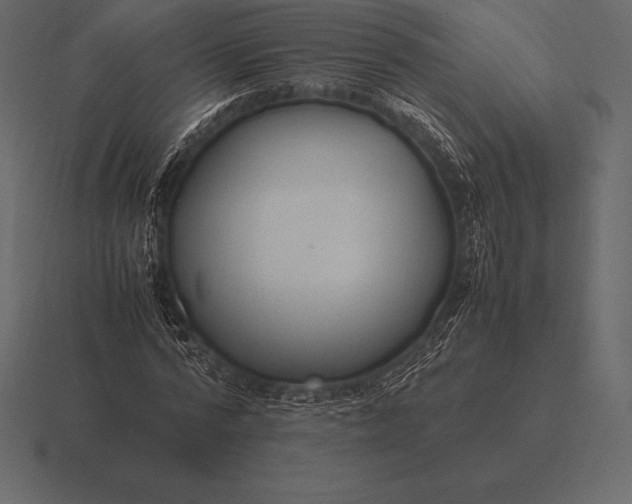 X0000116560776200912241614