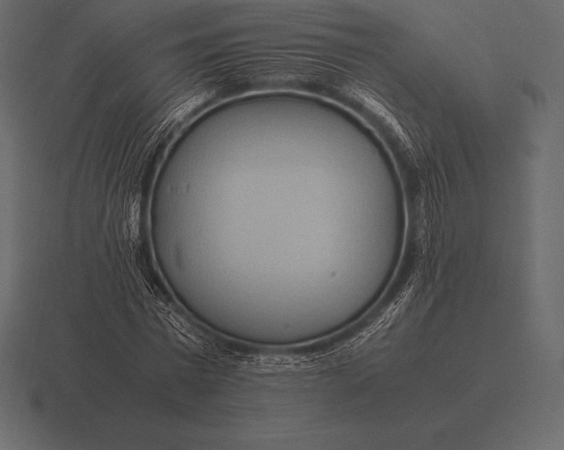 X0000116560777200912241614