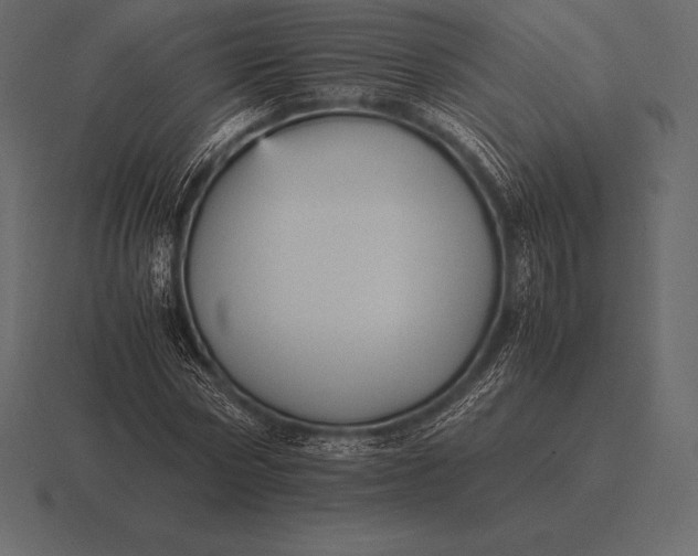 X0000116560778200912241614