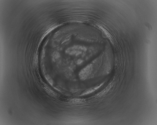 X0000116560779200912241614