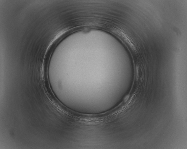 X0000116560780200912241614