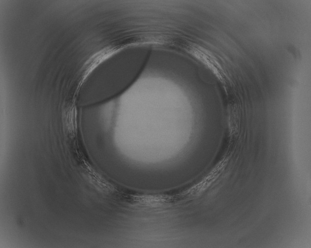 X0000116560781200912241614