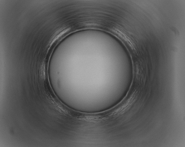 X0000116560782200912241614