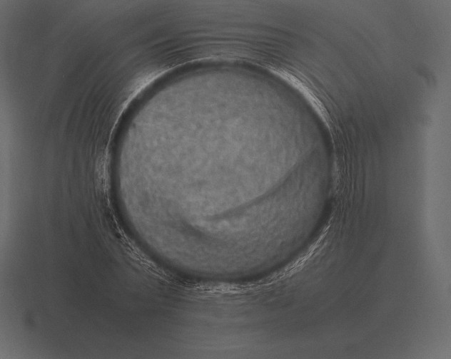 X0000116560783200912241614