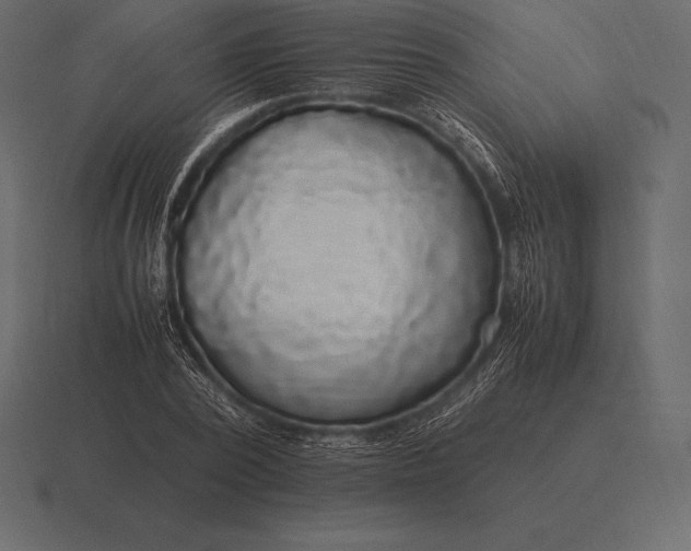 X0000116560784200912241614