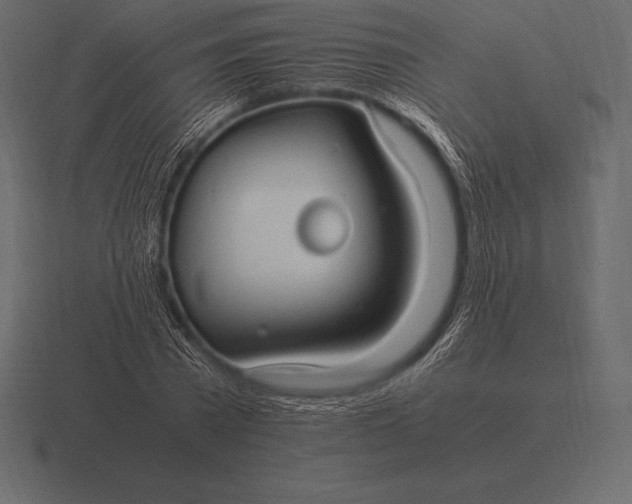 X0000116560785200912241614