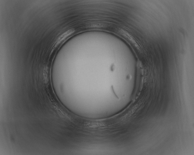 X0000116560786200912241614