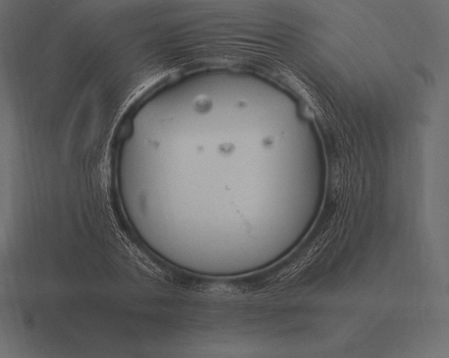 X0000116560787200912241614