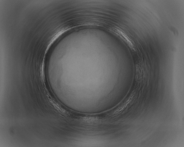 X0000116560788200912241614