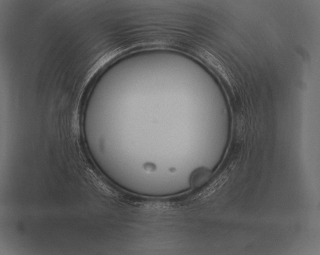 X0000116560789200912241614