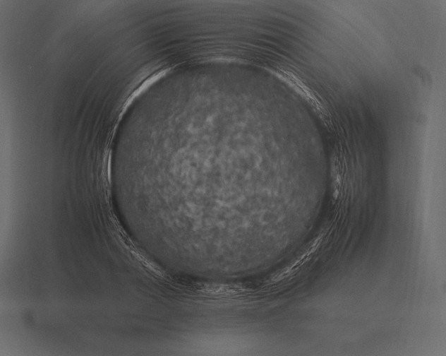 X0000116560790200912241614