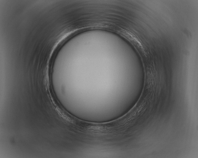 X0000116560792200912241614