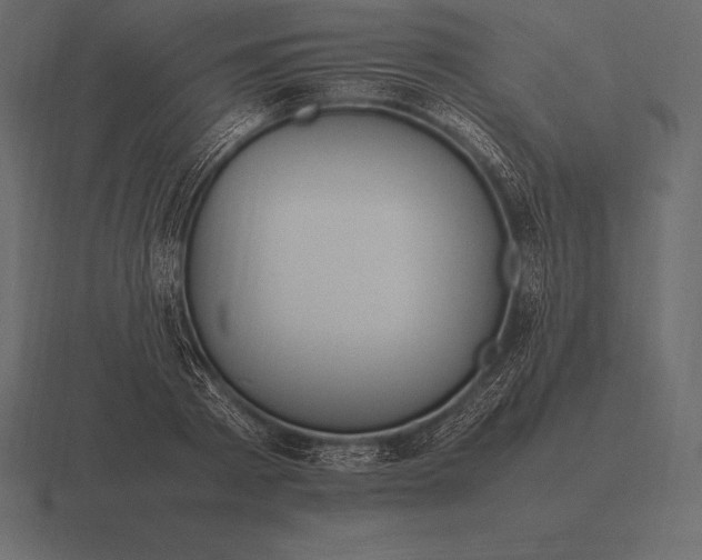 X0000116560793200912241614