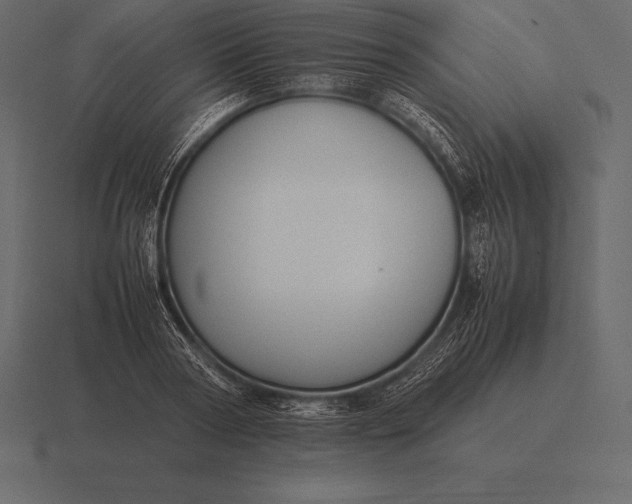 X0000116560794200912241614