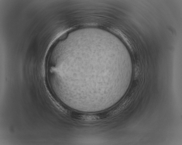 X0000116560795200912241614