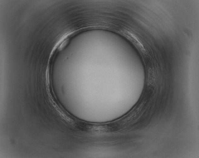 X0000116560796200912241614