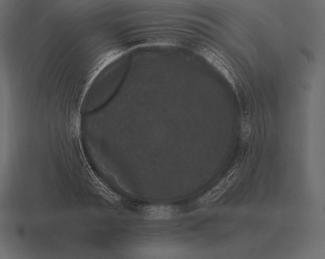 X0000116560797200912241614