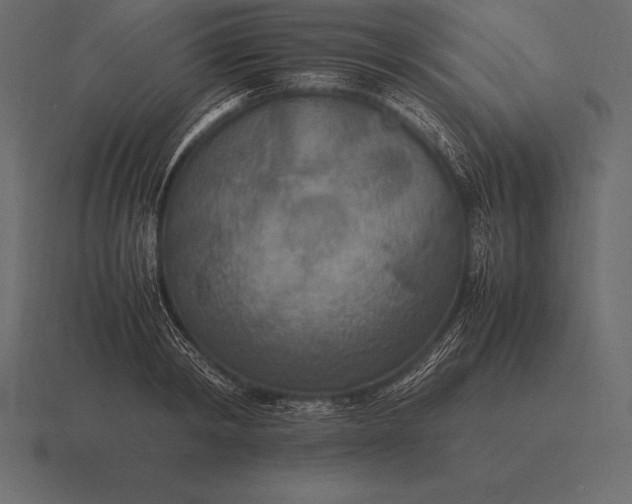 X0000116560798200912241614