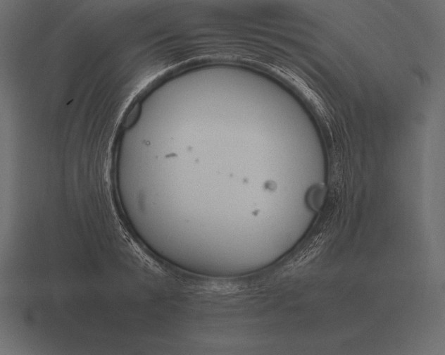 X0000116560799200912241614