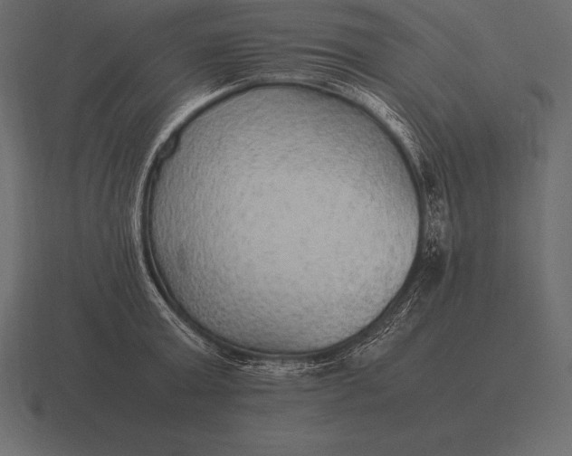 X0000116560803200912241613