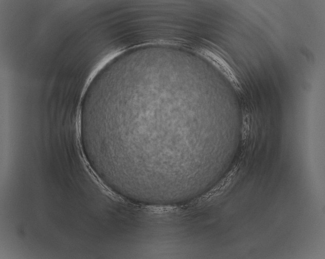 X0000116560804200912241613