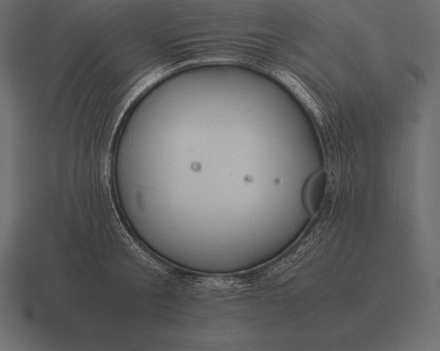 X0000116560805200912241613