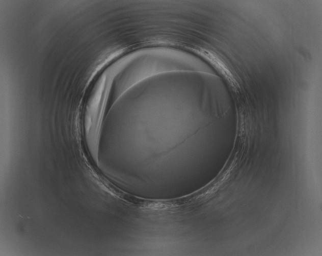 X0000116560806200912241613