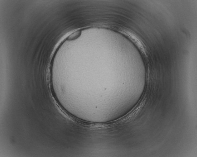 X0000116560808200912241613