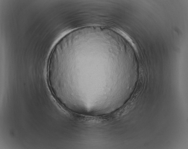 X0000116560811200912241613