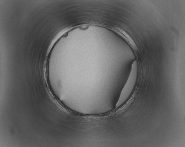 X0000116560812200912241613