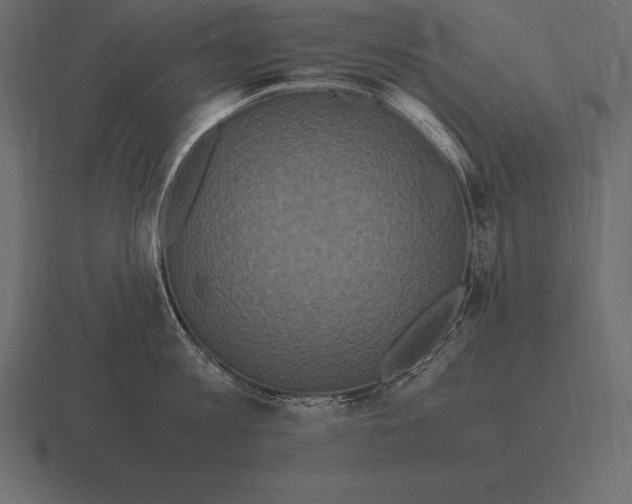 X0000116560813200912241613