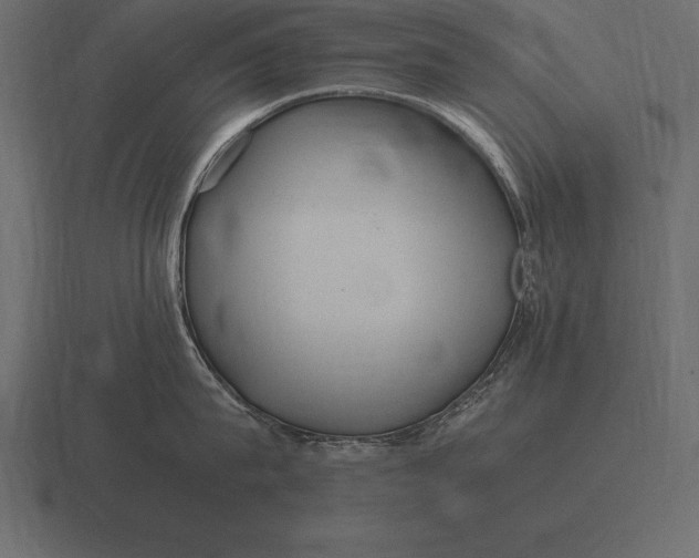 X0000116560815200912241613