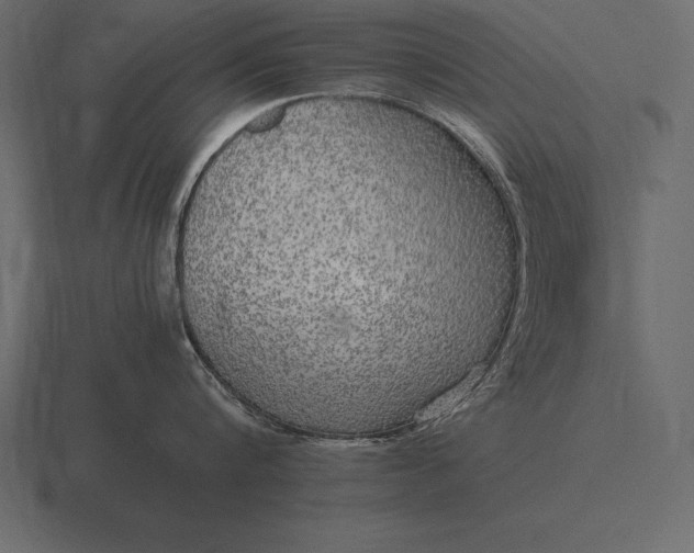 X0000116560816200912241613