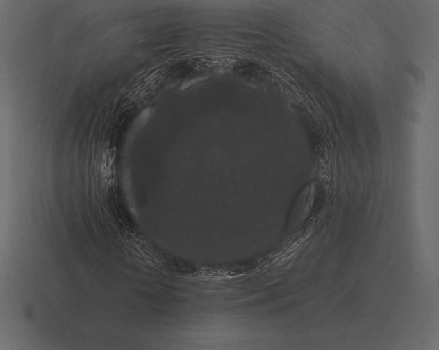 X0000116560818200912241613