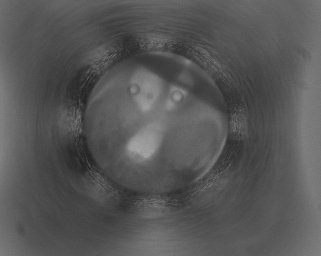 X0000116560820200912241613