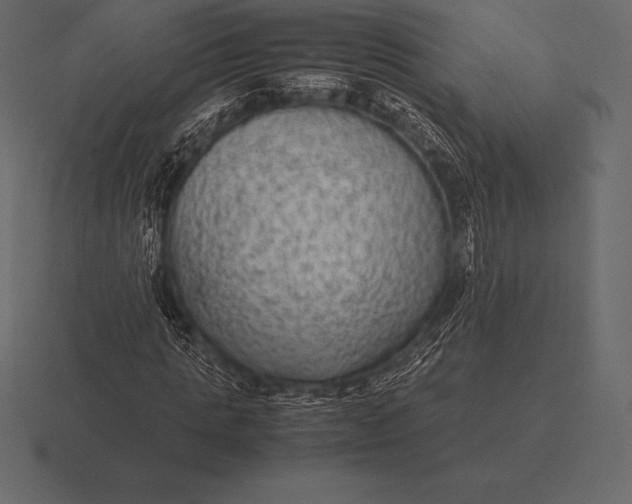 X0000116560821200912241613