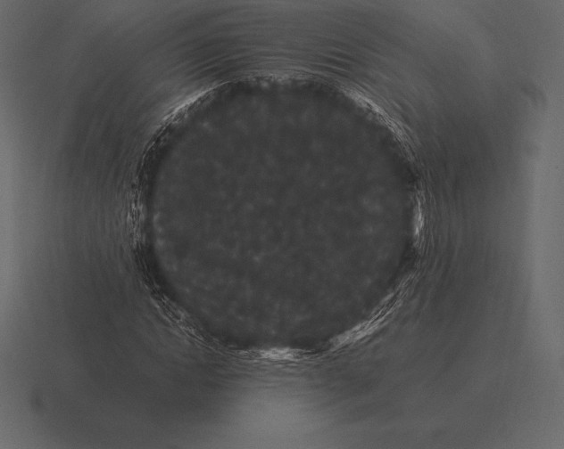 X0000116560822200912241613