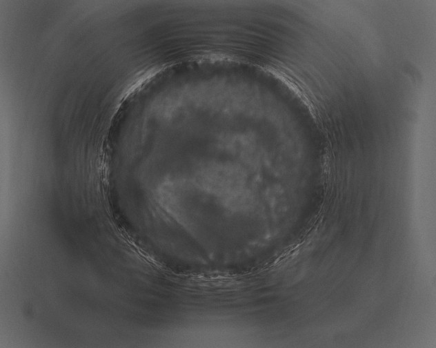 X0000116560823200912241613