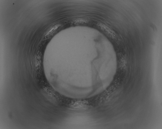 X0000116560824200912241613